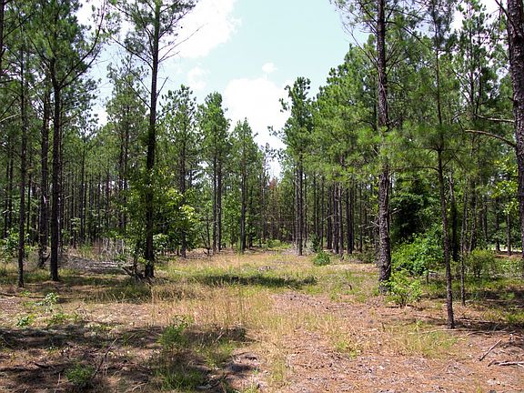 Compass South Land Sales Old Georgetown Road Lot A 4