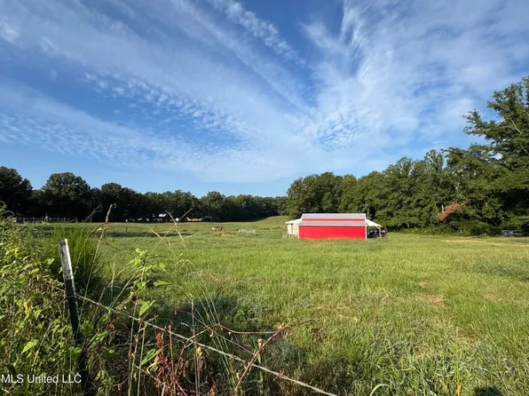 51 Gunter St, Lena, MS 39094