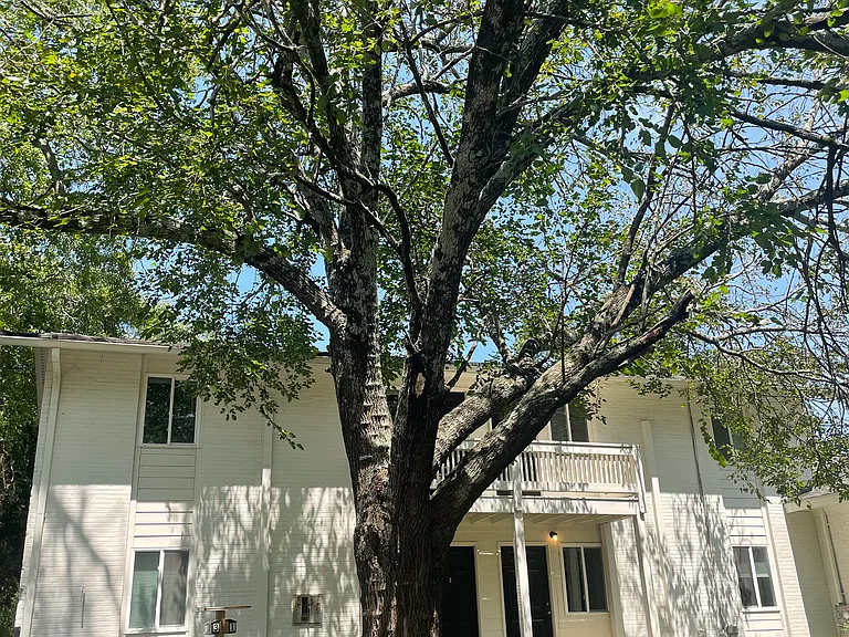 190 Mell St — Photo 1