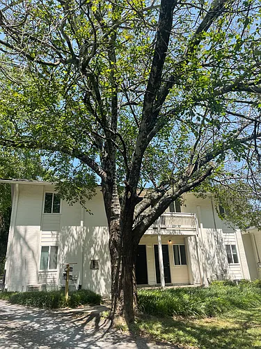 190 Mell St Photo 1