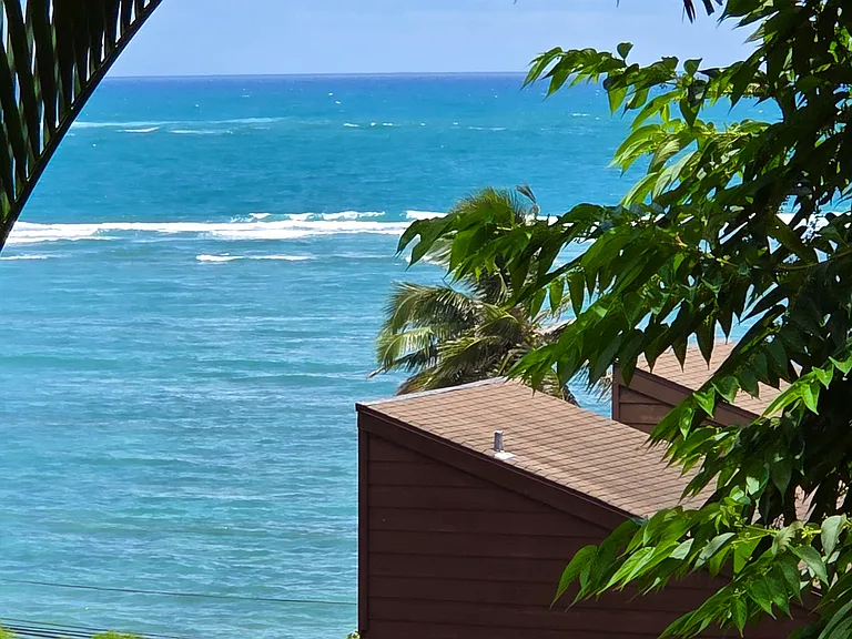 Ocean View from Lanai