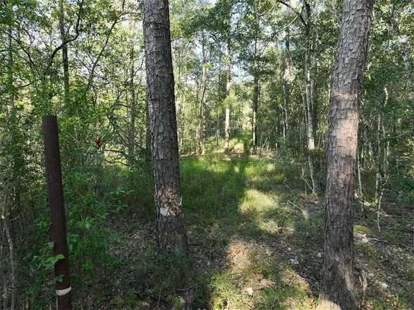 Stepp Rd, Robert, LA 70455