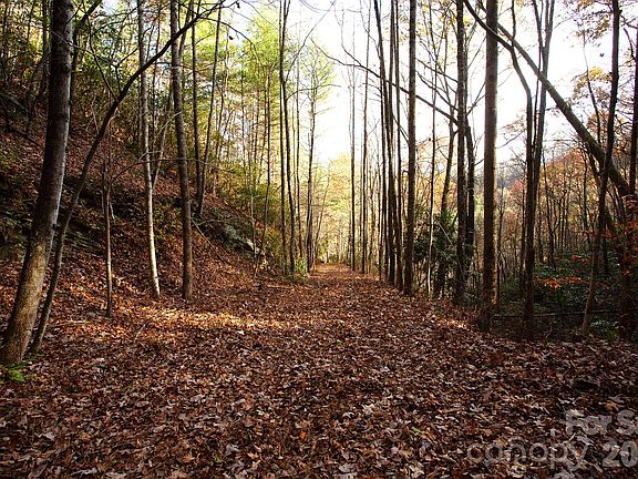 2nd image of Rector Branch Rd #4