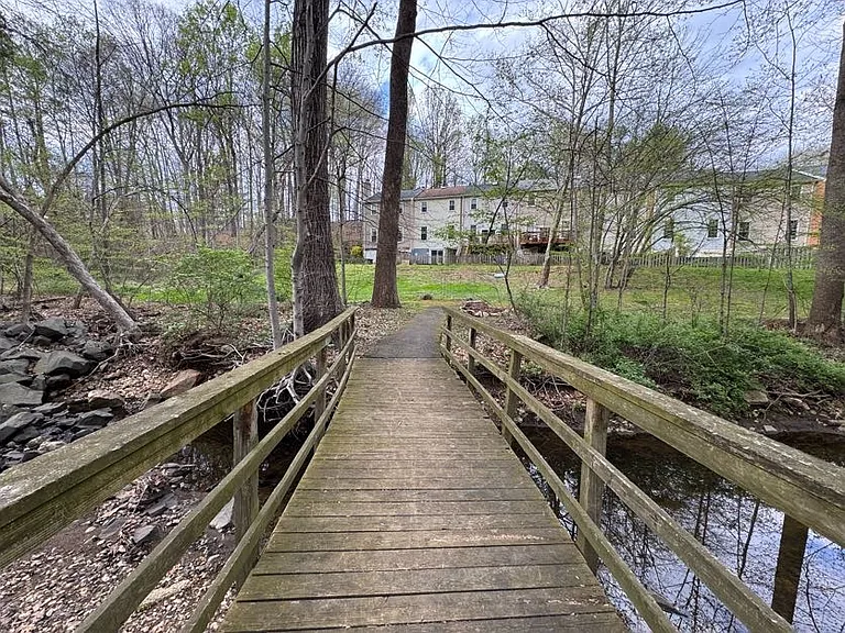 Creek behind the house