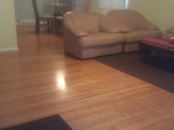 Living/ Dining Room