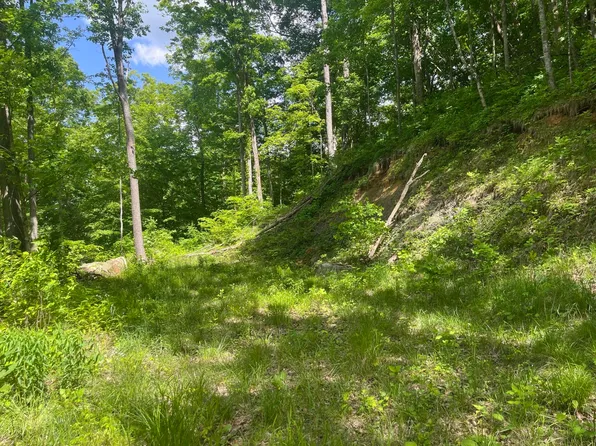 0 Birch Hollow Rd Lot 12, Stanton, KY 40380