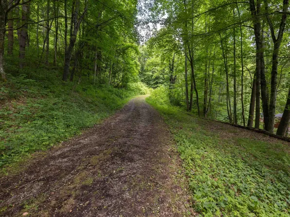 16334 Seneca Trl, Huttonsville, WV 26273