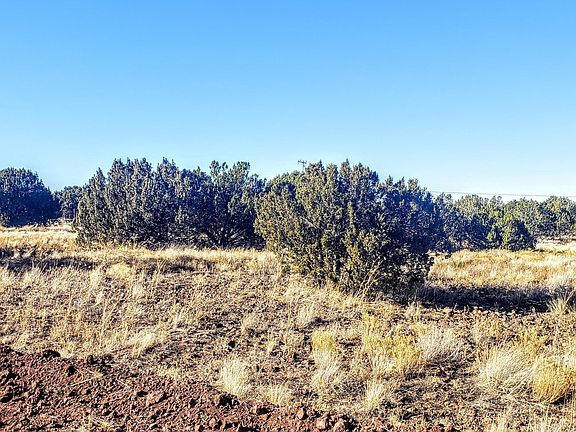 5th image of 8594 Kaibab Ln