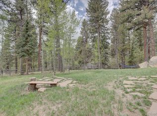 30968 Witteman Rd, Conifer, CO 80433