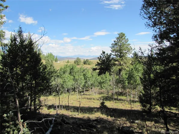 3010 Campfire Road, Hartsel, CO 80449