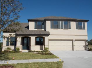 11626 Iris Spring Ct, Riverview, FL 33579