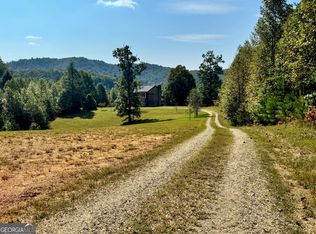 89 Simmons Rdg, Mineral Bluff, GA 30559