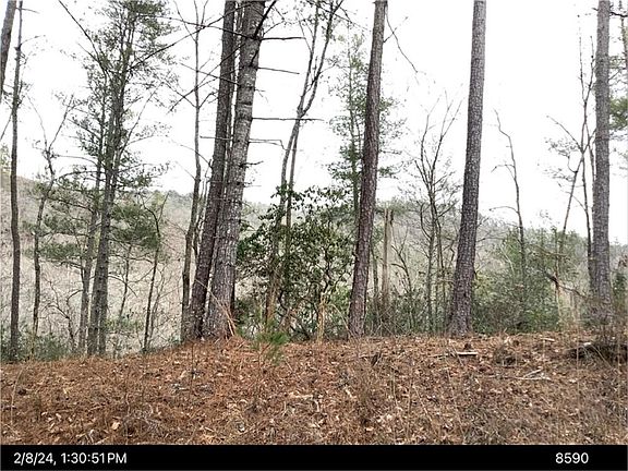 2nd image of 436 Meadow Ln #1743
