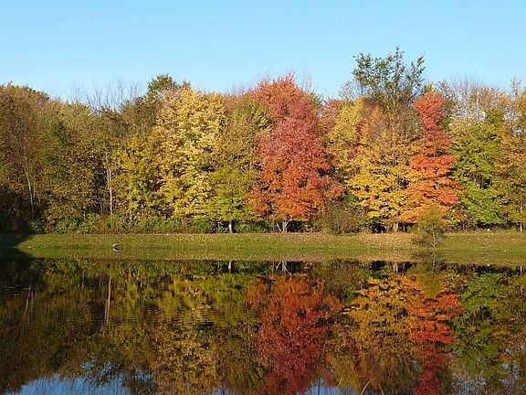 View from driveway in Fall