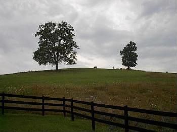 3rd image of 152 Possum Holw