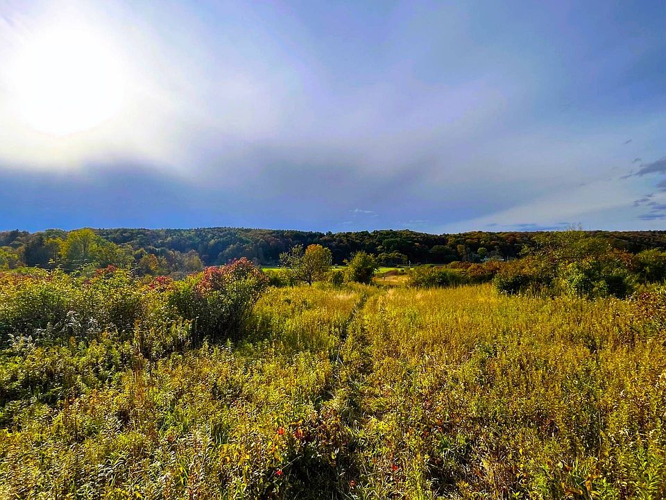 Vl Hayes Hollow Rd, Colden, NY 14033 MLS 11216072 Zillow