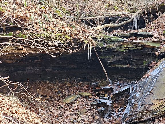 2nd image of 0 Davis Hollow Rd