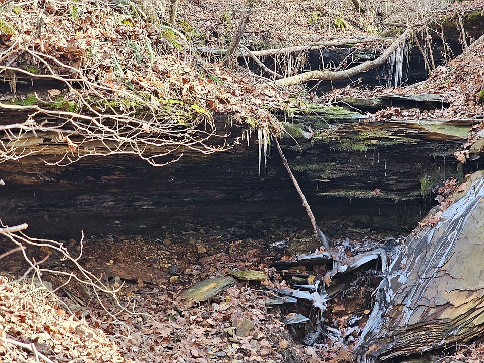 1st image of 0 Davis Hollow Rd