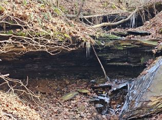 0 Davis Hollow Rd, Franklin, TN 37064