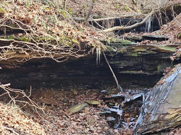 0 Davis Hollow Rd, Franklin, TN 37064