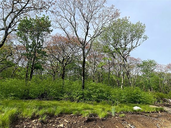 2nd image of Tract 1 Spur Lane