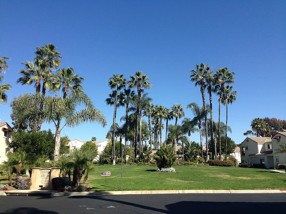 3 bed, 1536 sqft, $4,500 — Photo 2