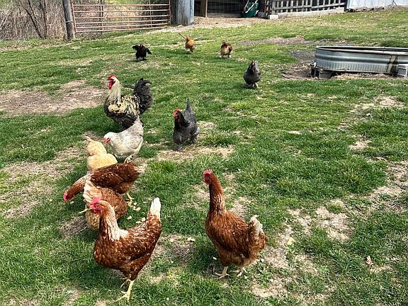 5th image of 000 Rural Route 1 Box 565