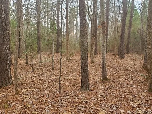Old Elam Cemetary Rd, Charles City, VA 23030