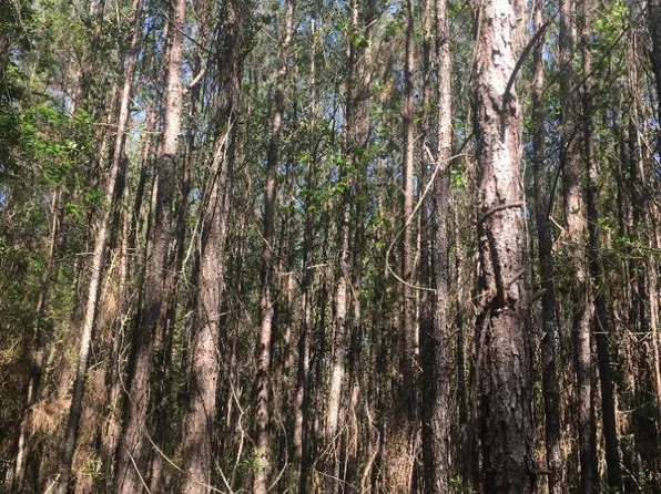 0 County Road 19, Brewton, AL 36426