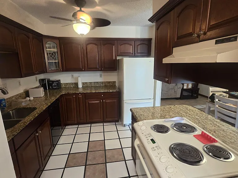 Brandywine Cv — Photo 4