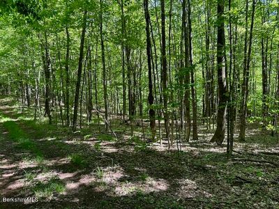 160 Simmons Rd, Washington, MA, 01223