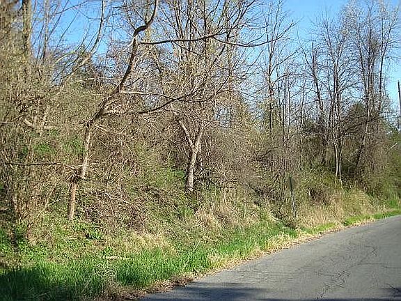 3rd image of Corner Of Campbell Ave. And N. Taylor Pl