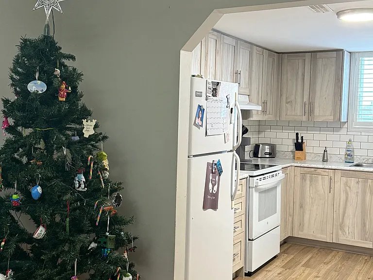 57 Simcoe Rd #BASEMENT — Photo 5