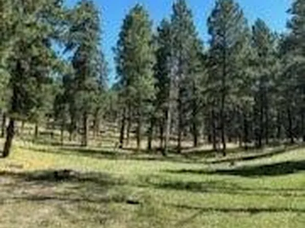 Jemez Mountains Lot, Jemez Springs, NM 87025