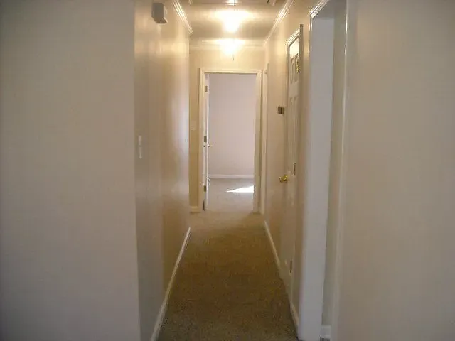 1910 Conway Dr — Photo 8