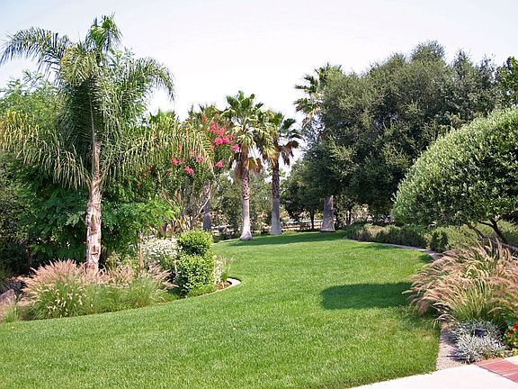 Park like yards on 10 hillside acres