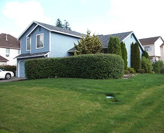 Front Yard