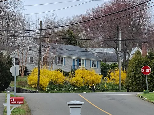 91 Maple St Photo 1