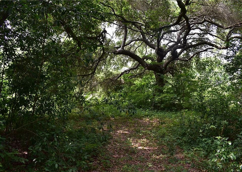 2138 Fish Hatchery Rd, Natchitoches, LA 71457 Zillow