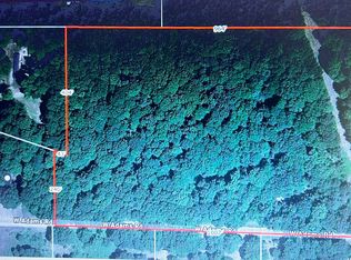 0 W Adams Rd, Pentwater, MI 49449
