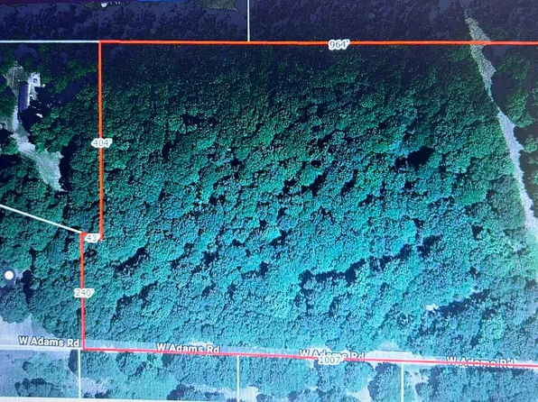 0 W Adams Rd, Pentwater, MI 49449
