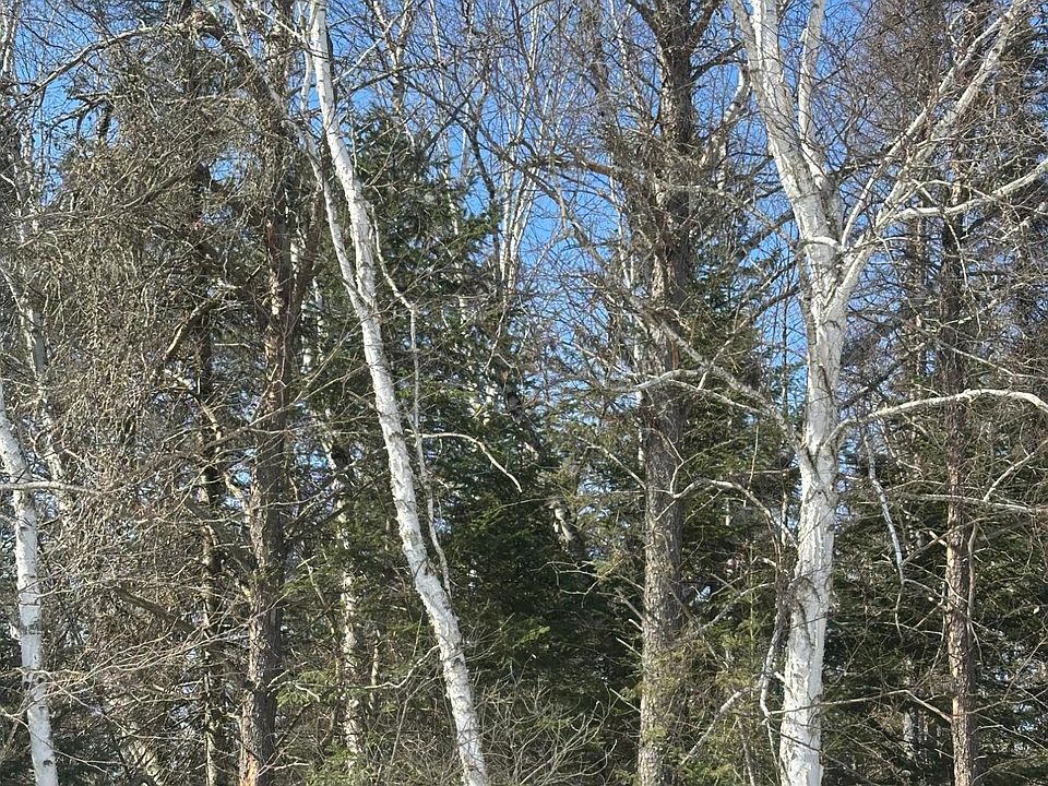 1st image of Burrows Lake Rd Lot 2