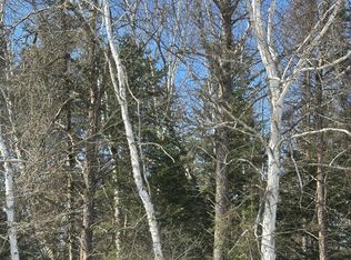 Burrows Lake Rd Lot 2, Tomahawk, WI 54487