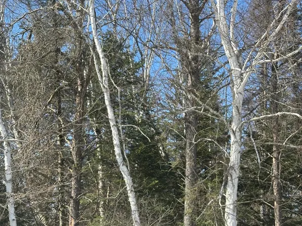 Burrows Lake Rd Lot 2, Tomahawk, WI 54487