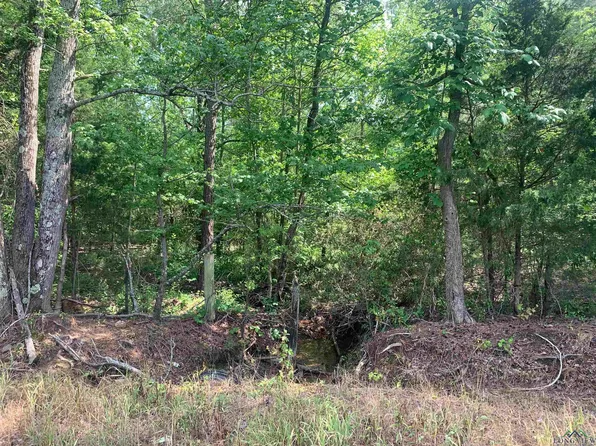 County Road 1670, Mount Pleasant, TX 75455