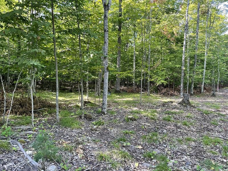 2nd image of LOT 11 E Shines Lake Rd