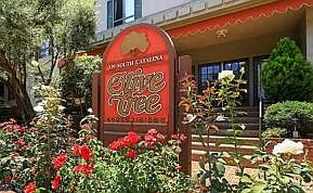 1st image of 339 S Catalina Ave APT 215