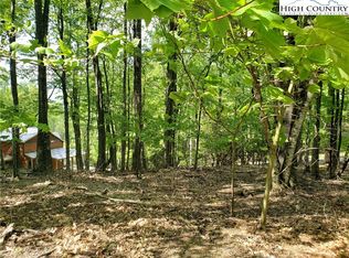 1003 Pine Ridge Rd, Beech Mountain, NC 28604