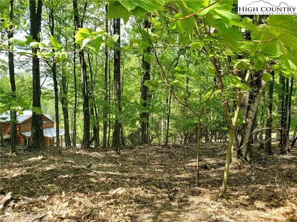 1003 Pine Ridge Road, Beech Mountain, NC 28604