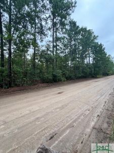 Tract 4 0 Blue Jay Road, Guyton, GA, 31312
